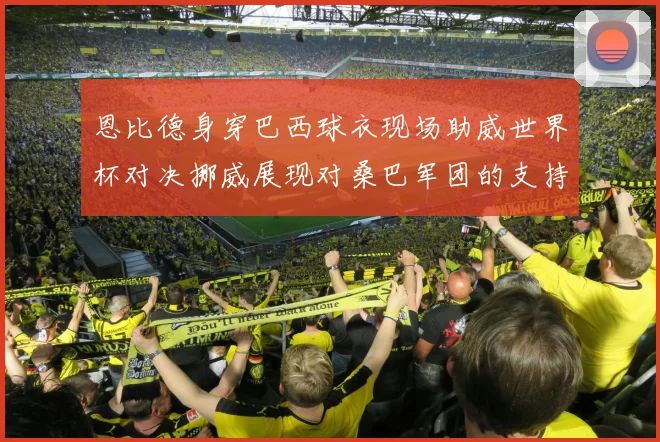恩比德身穿巴西球衣现场助威世界杯对决挪威展现对桑巴军团的支持