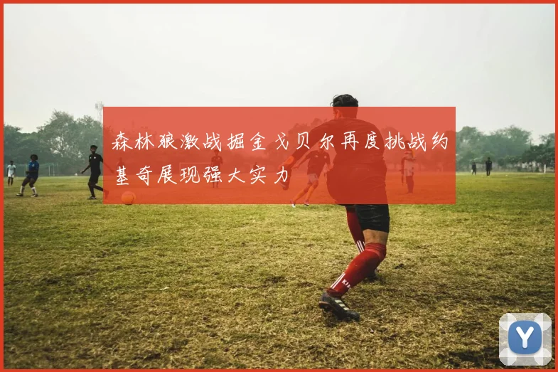 森林狼激战掘金戈贝尔再度挑战约基奇展现强大实力